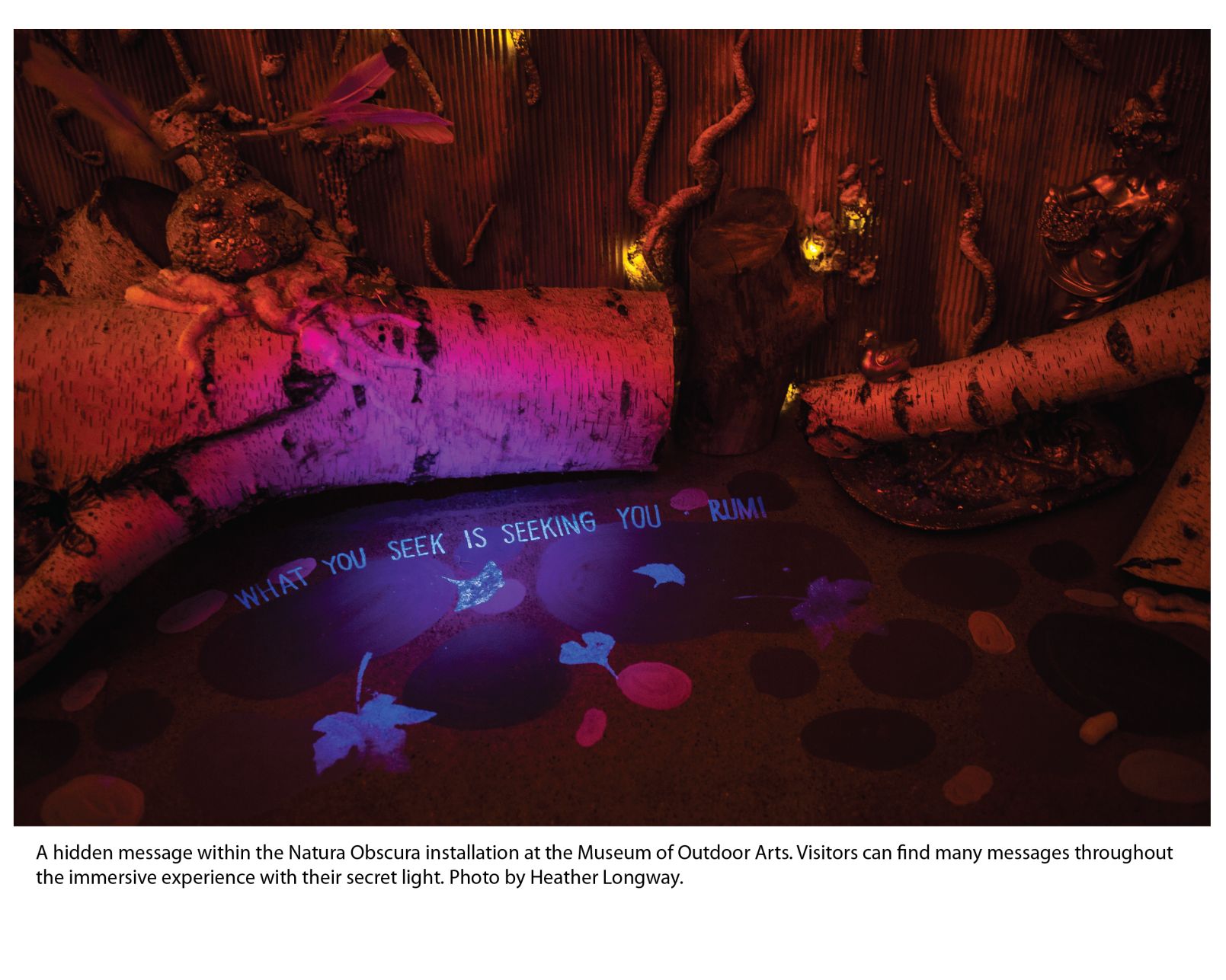 Natura Secret Message2@4x.png